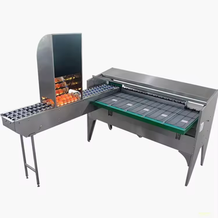 New Condition Industrial Poultry Egg Weight Grading Sorter Animal Husbandry Equipment Machine for Egg Classifier