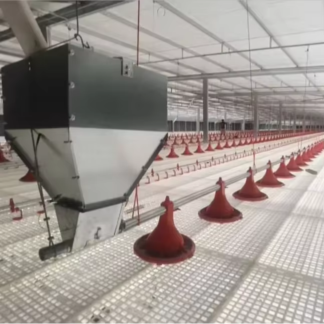 Best Price 100 cm Plastic Slat Floor Mat for Chicken House Plastic Floor for Chicken Care Animal Husbandry Equipment