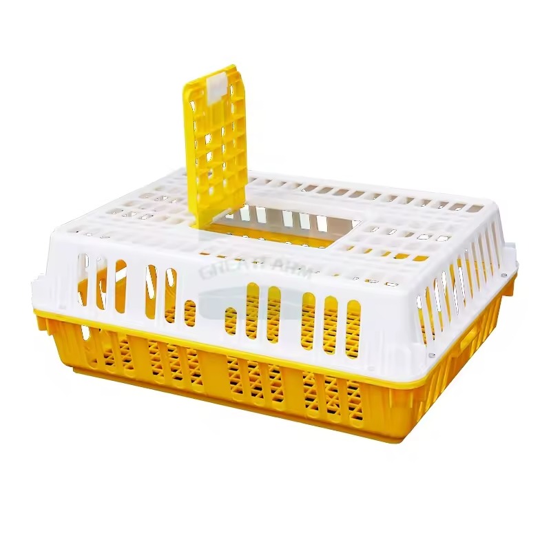 Poultry Farming Transport Equipment Agricultural Plastic Crates Plastic Livestock Transport Crate