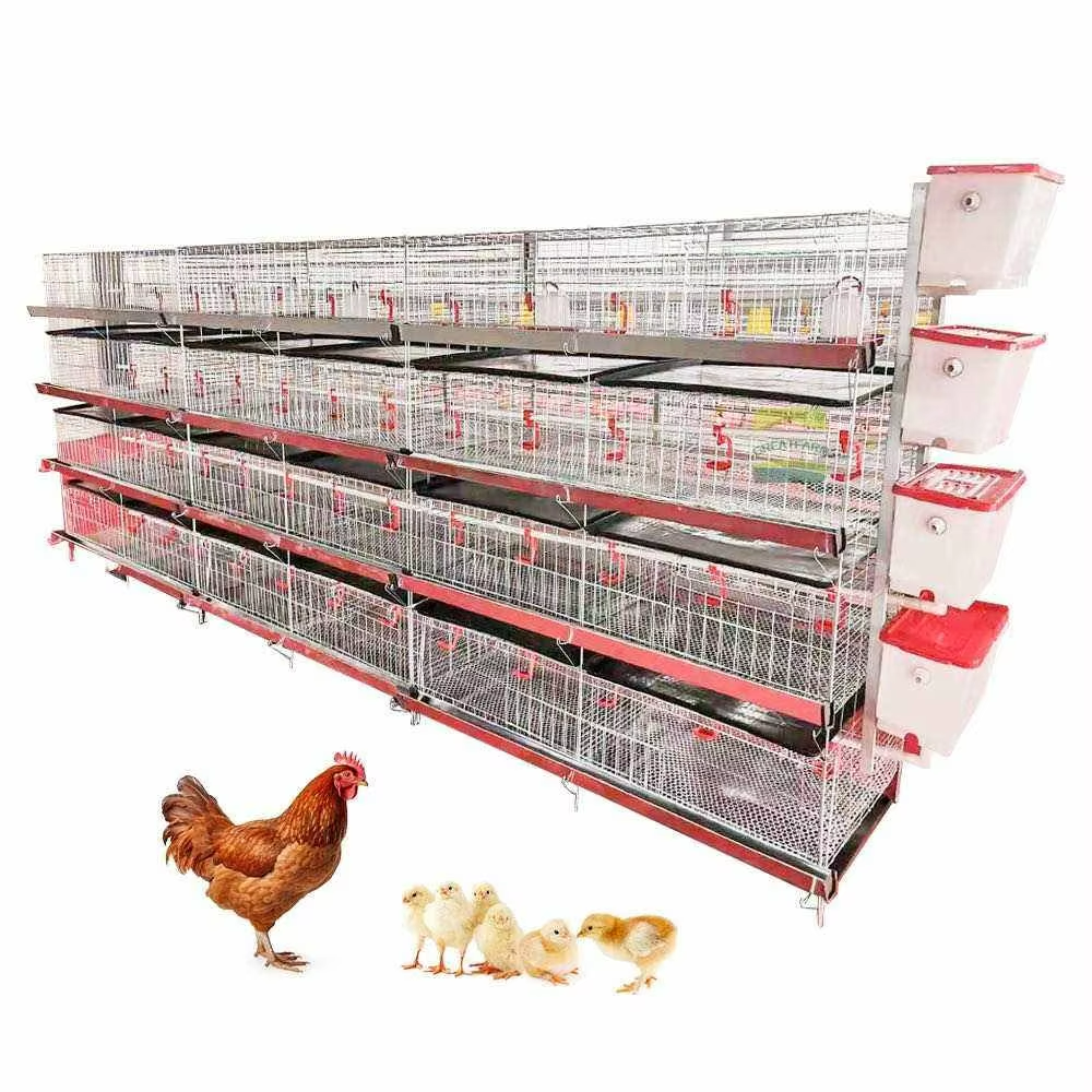 Factory Hot Selling Cages for Broiler Chicken Automated Broiler Cage Gaming PC New Product Provided Chicken Coop