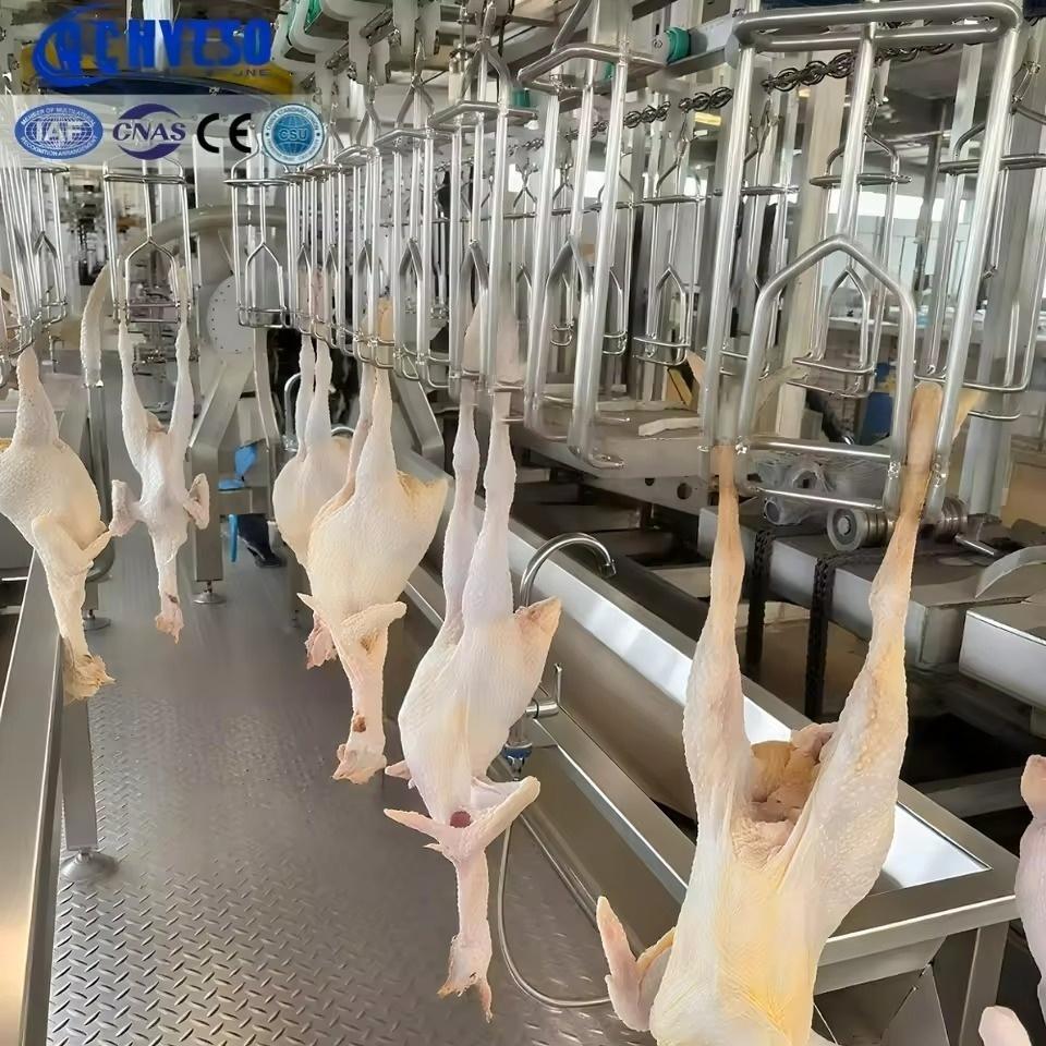 Stocked Mobile Small Chicken Slaughter Machine Immediate Dispatch Available 1000 Birds/Hour Easily