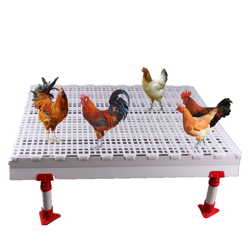 1000*500mm Plastic Flooring for Poultry Farm High Quality Adult and Baby Chicks Poultry Slats for Chicken Farm