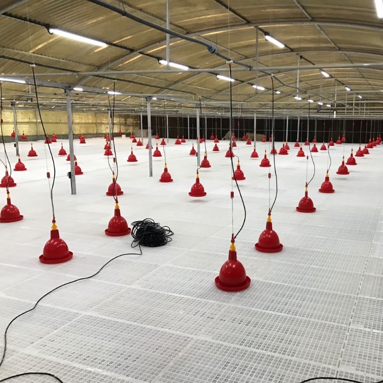 High Quality Plastic Slats Floor for Chicken Farming Poultry Specific Animal Husbandry Equipment Mats