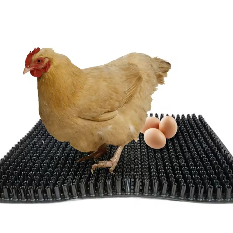 New Outdoor Carpets for Broiler and Laying Chicken Breeders Poultry Nesting Pads Animal Husbandry Equipment