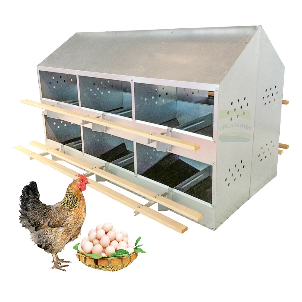 24-Hole Double Sided Chicken Egg Nest New Automatic Poultry Farm Nest Multiple Layers Made PP Steel Wood Core Motor Component
