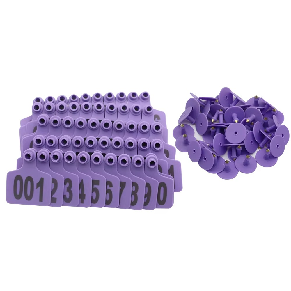 TPU Purple Color Cattle Ear Tag With Numbered on Farm Cow Animal Ear Tag Marked