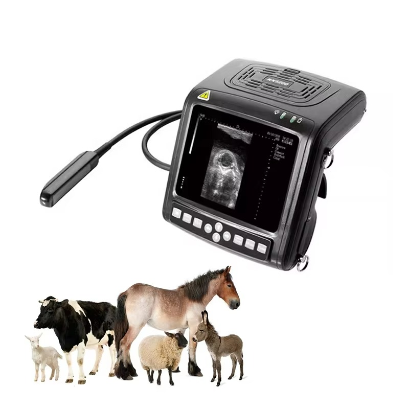 GF-KX5200 High Quality Veterinary Ultrasound Scanner 5.7 Inch Full Digital B-Mode Portable Rectal Probe for Cow